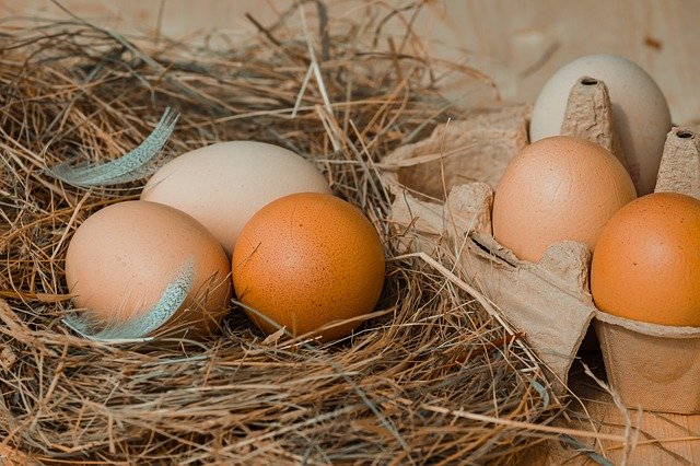 How Many Eggs Should You Actually Eat?